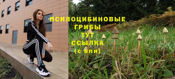 соль ск Заводоуковск